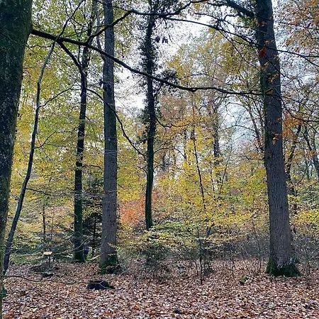 Hundefreundliches Ferienhaus Am Wingster Wald Dog-Friendly Holiday Home Сasa de vacaciones *