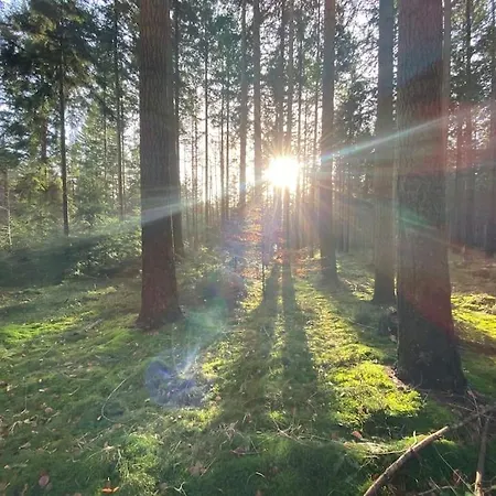 Hundefreundliches Ferienhaus Am Wingster Wald Dog-Friendly Holiday Home Wingst