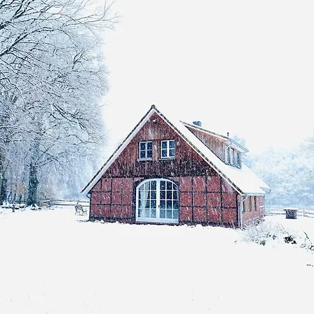 Hundefreundliches Ferienhaus Am Wingster Wald Dog-Friendly Holiday Home Сasa de vacaciones *