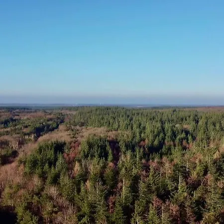Hundefreundliches Ferienhaus Am Wingster Wald Dog-Friendly Holiday Home Сasa de vacaciones