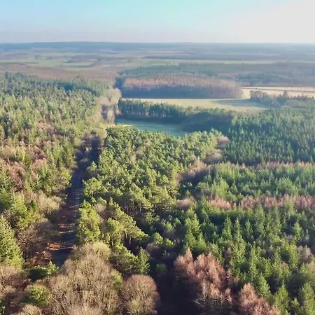 Сasa de vacaciones Hundefreundliches Ferienhaus Am Wingster Wald Dog-Friendly Holiday Home Wingst