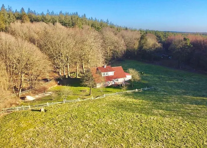 Urlaub Mit Hund Im Am Wingster Wald Ferienhaus Wingst