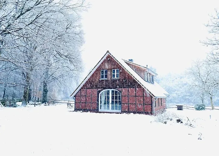 Urlaub Mit Hund Im Am Wingster Wald Ferienhaus *