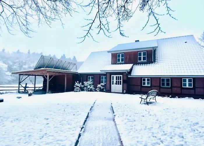 Ferienhaus Urlaub Mit Hund Im Am Wingster Wald *